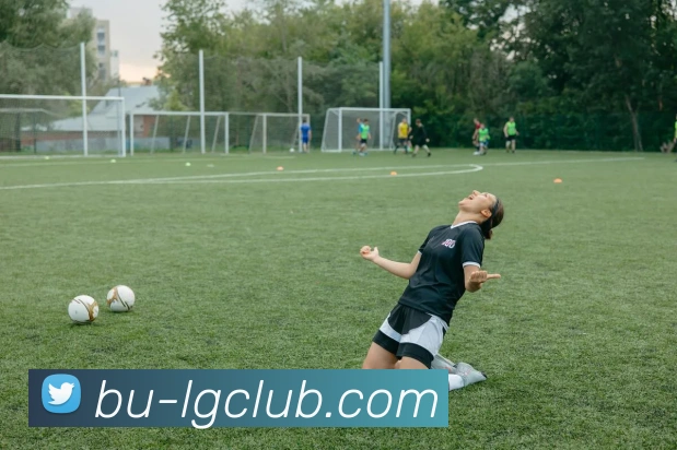 老哥俱乐部官网平台生态图